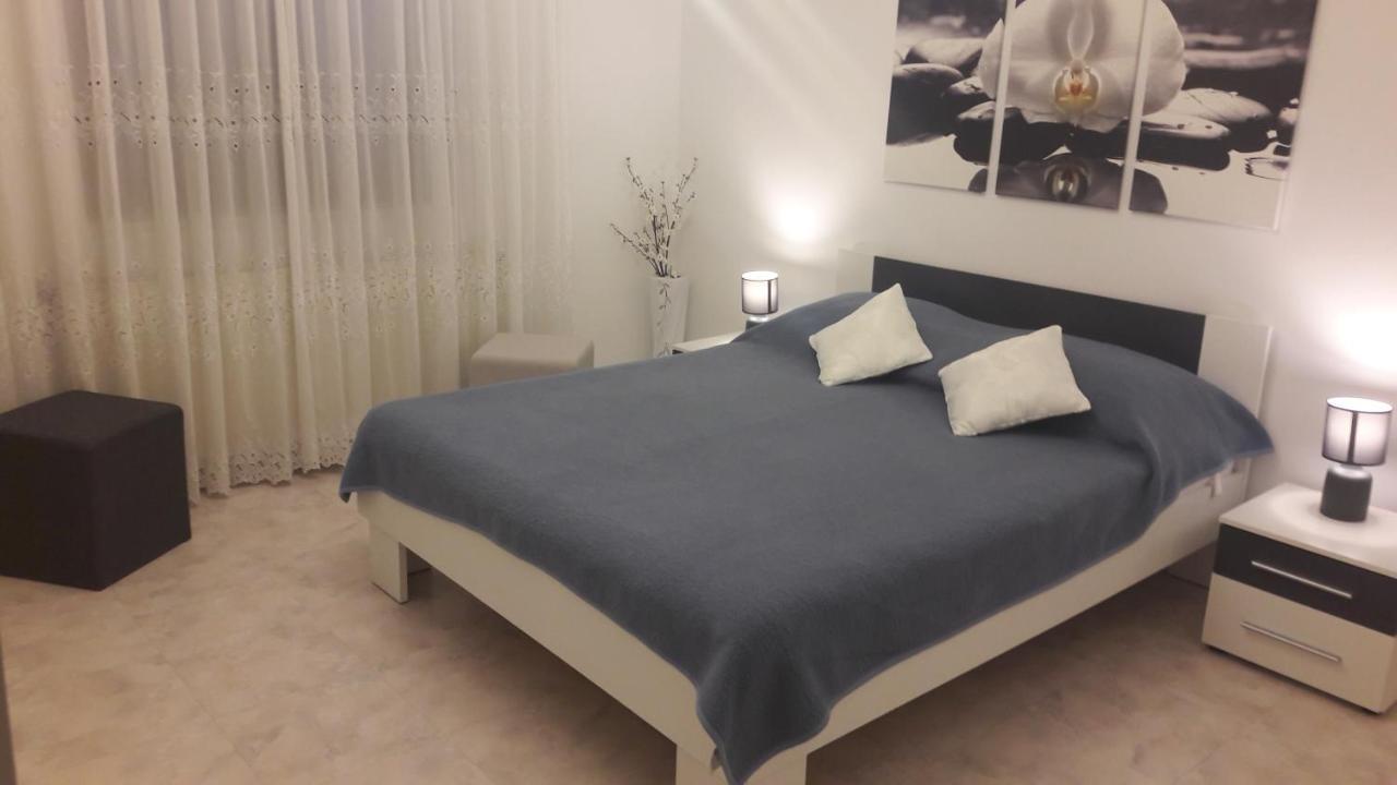 Appartement Lili à Novigrad Istria Extérieur photo