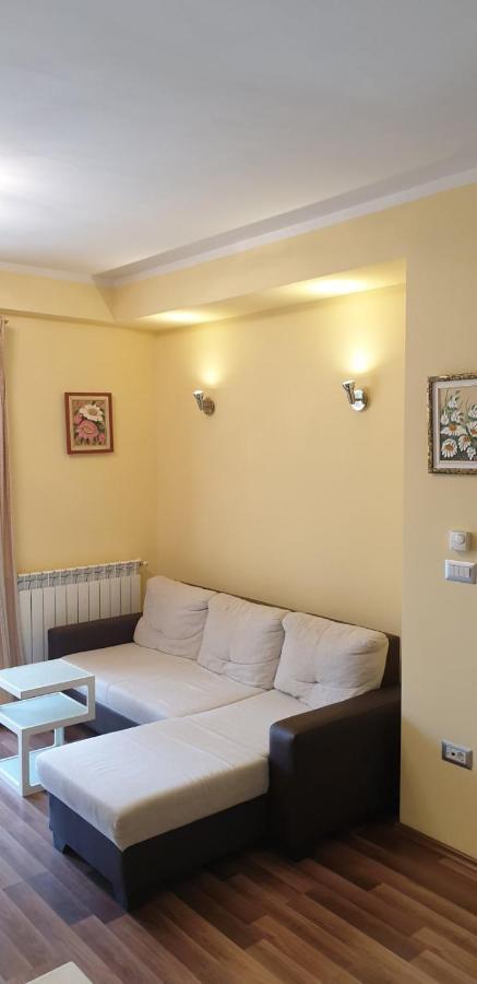 Appartement Lili à Novigrad Istria Extérieur photo